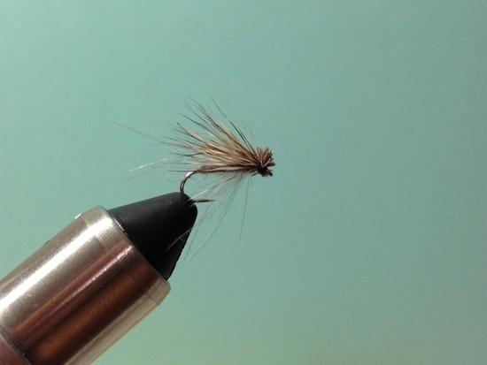CDC & Elk