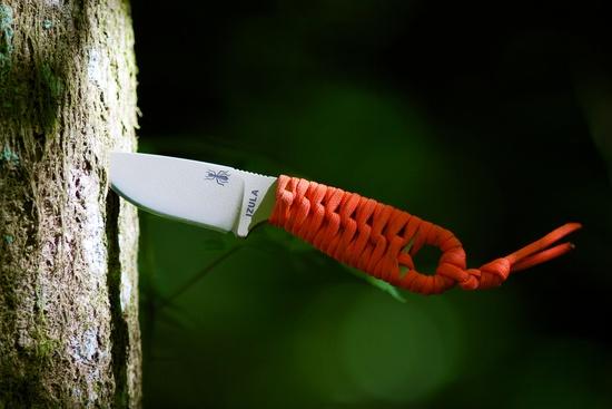 IZULA