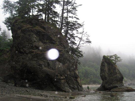 Rounding Strawberry Point (I think)