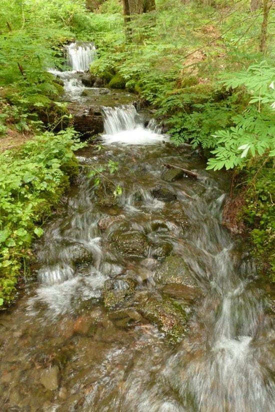 Creek on the way to Appleton Pass