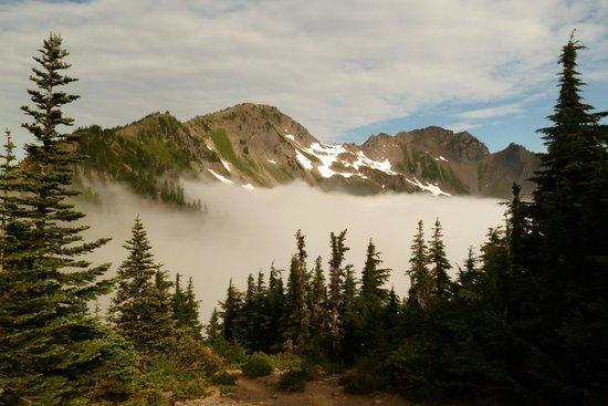 View from Appleton Pass