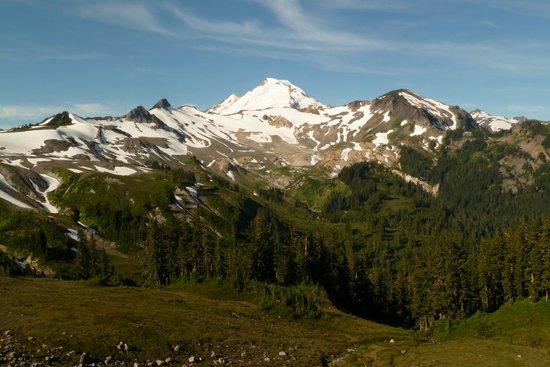 North side of Mt. Baker
