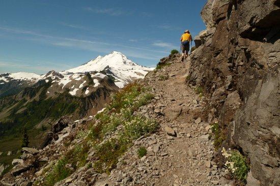 Trail up Tabletop Mountain