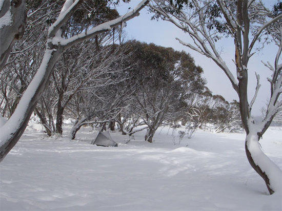 Notch Hotham