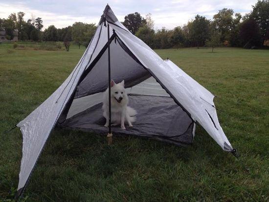 Indy in Tent