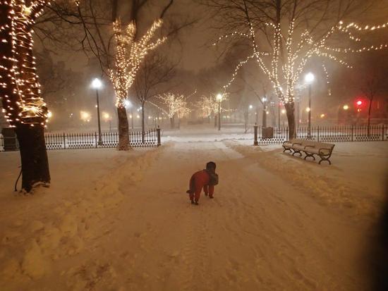 Lupus in the blizzard