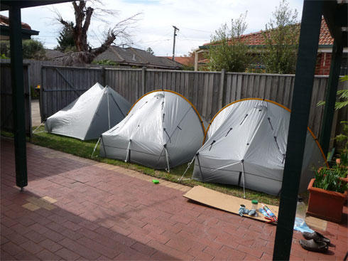 New lawn