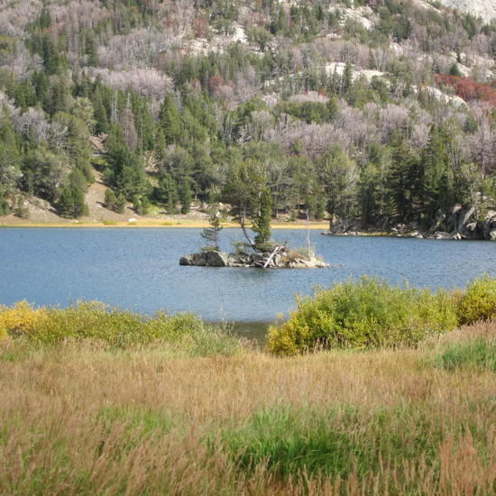 Island in Big Sandy