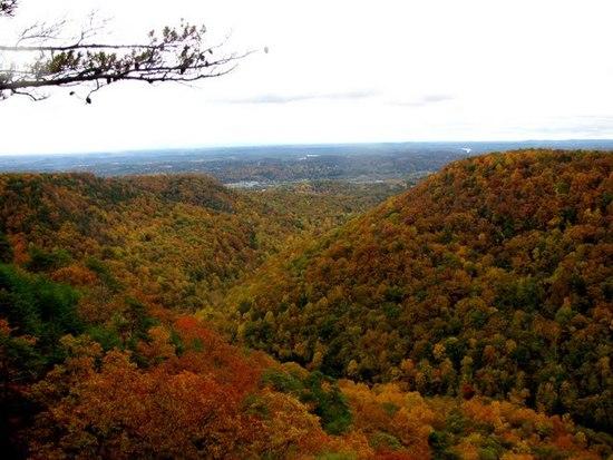 Buzzard Point Overlook, Laurel-Snow, Dayton, TN