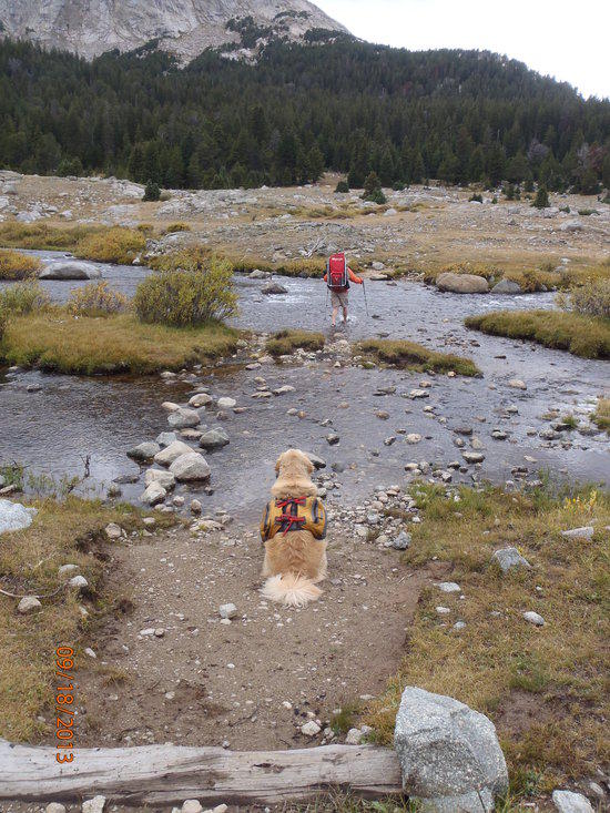 Me and Buddy crossing stream