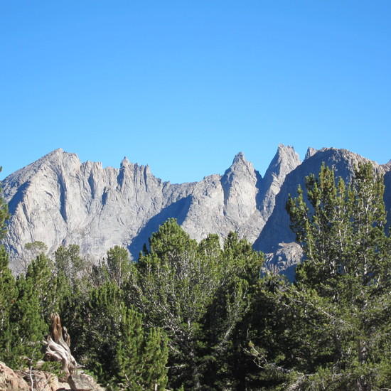 Back of the Cirque