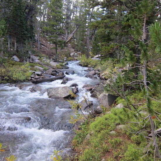 Stream