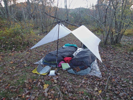 Bivy / Tarp in no rain