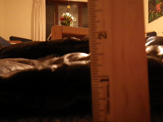 Bottom Jacket Alpine Light Loft