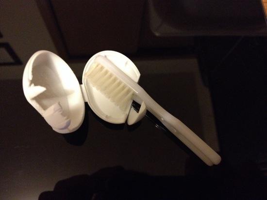 Mini Floss Case w/ Brush