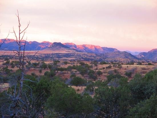 15 miles to Patagonia on the Arizona Trail