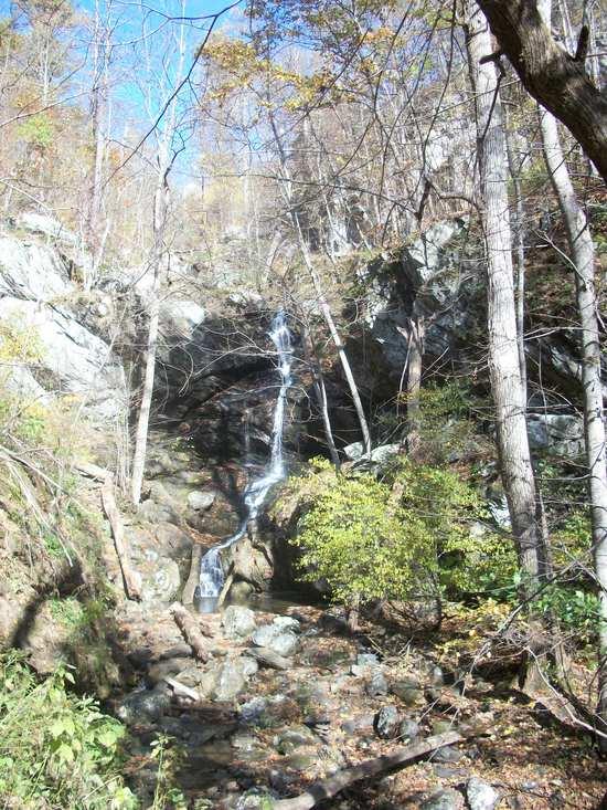 Jones Run