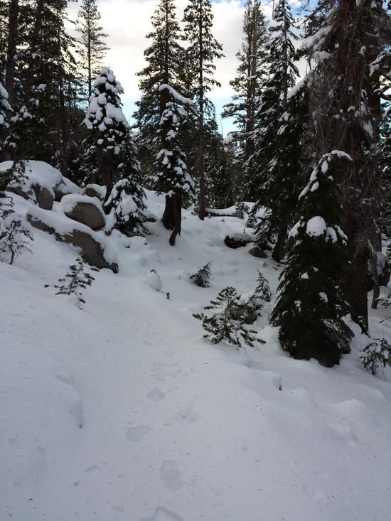 trail
