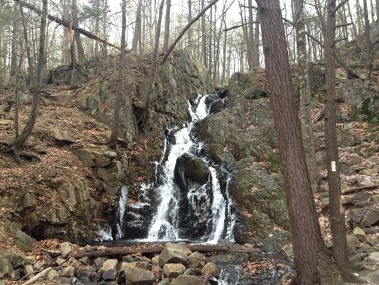 ferguson falls