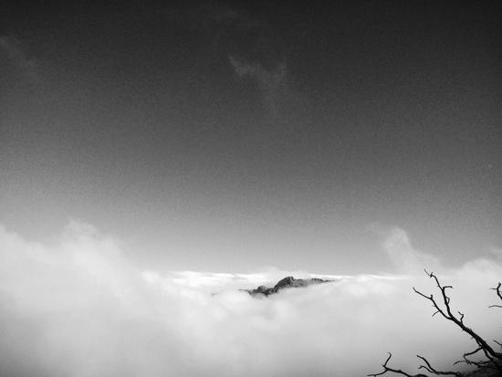 inversion