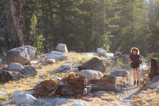 Hiking above Merced Lake