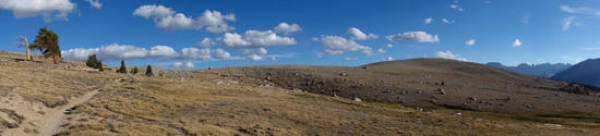The Bighorn Plateau