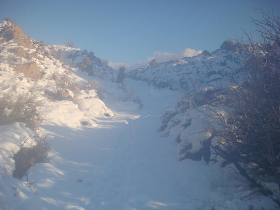 JT Snow