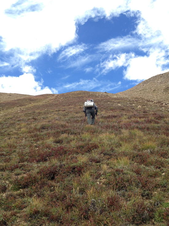 Up French Saddle