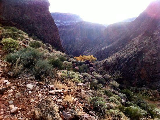 Phantom Ranch overlook from Clear Ck