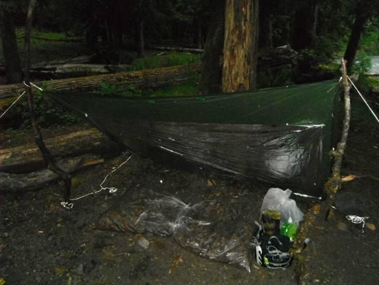 Critter Style Shelter