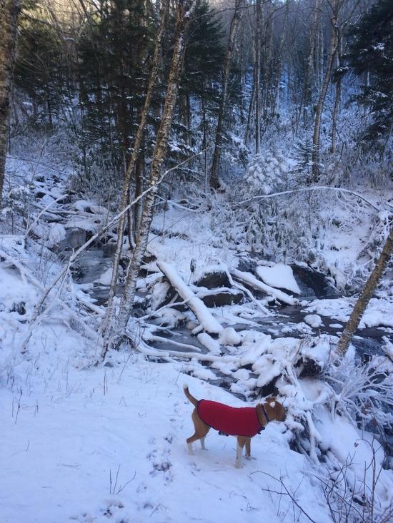 Tucker enjoying his first snow expedition.