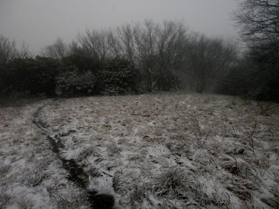 snow