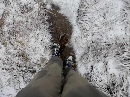 slush