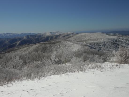 view1