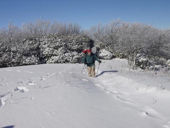 fresh powder