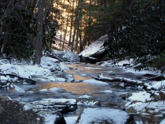 Piney Creek