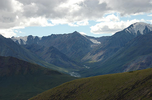 Grizzly Valley