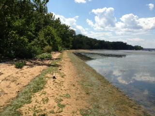 Mason Neck Virginia