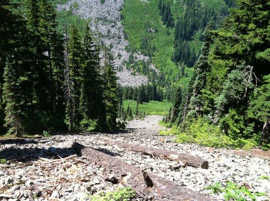 Lake Annette trail