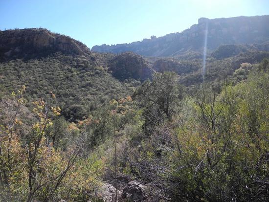Canyon