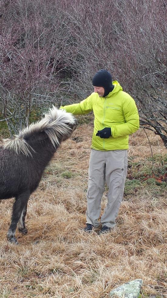pony 2