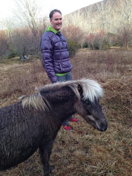 pony 3