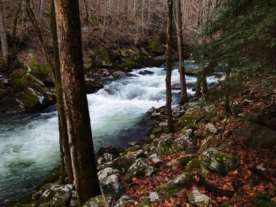 Big Creek 3