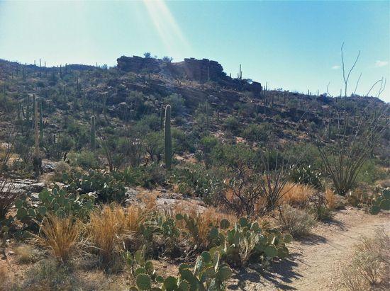 desert_portion