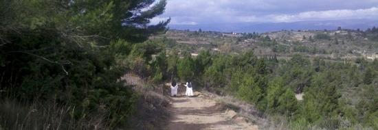 Nuns hiking in France