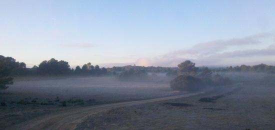 Winter morning in Andalucia