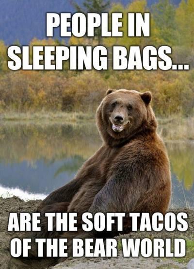 bear taco