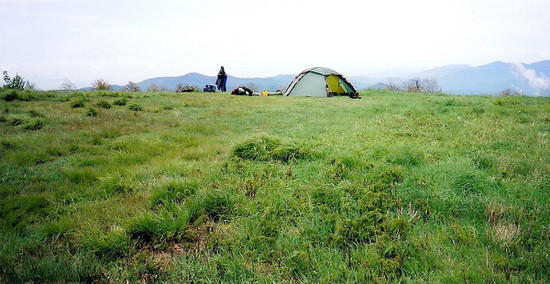 Whiggs Meadow