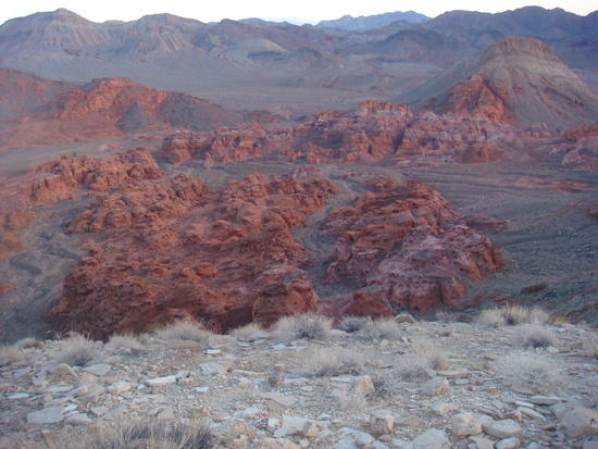 dsc00461