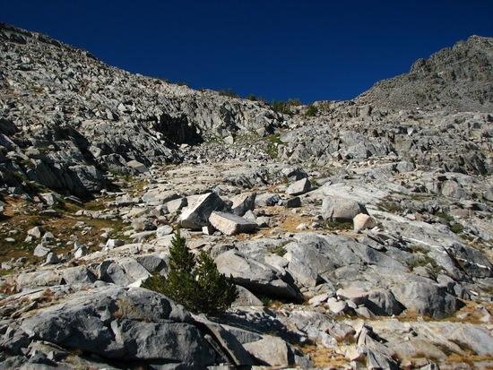 View of saddle in Silver Divide (Graveyard Lk side)